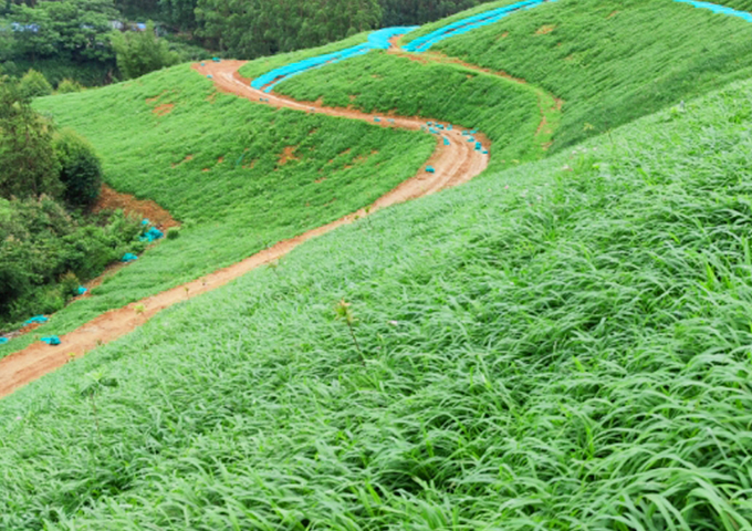 南嶺國家公園環(huán)丹霞山片區(qū)生態(tài)環(huán)境系統(tǒng)保護修復(fù)工程（湞江區(qū)煤矸石礦區(qū)遺址生態(tài)環(huán)境修復(fù)治理）設(shè)計、施工總承包