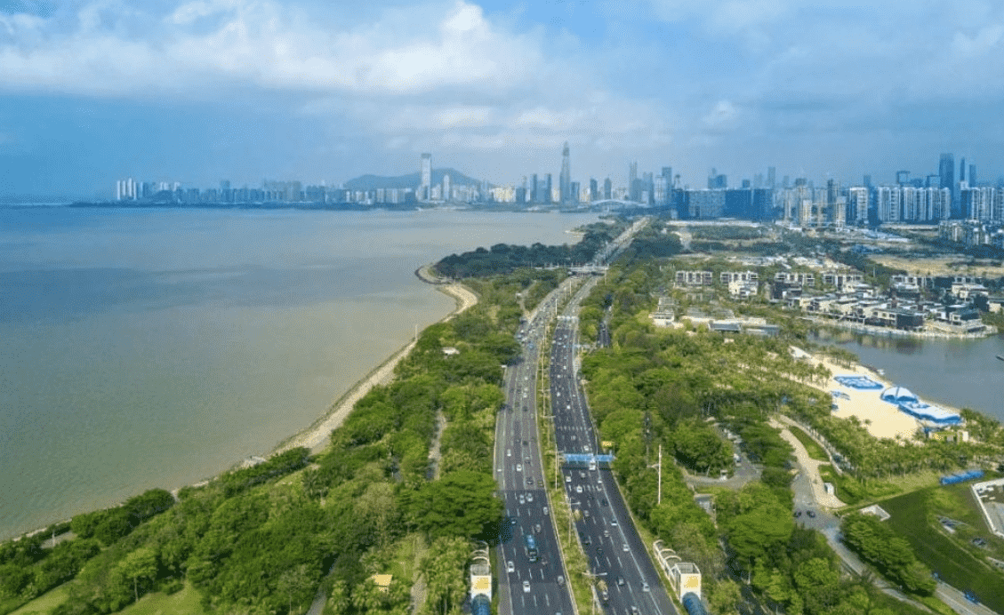 深圳濱海大道（海堤、道路）詳勘工程